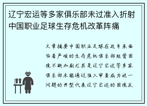 辽宁宏运等多家俱乐部未过准入折射中国职业足球生存危机改革阵痛